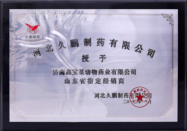 榮譽(yù)資質(zhì)